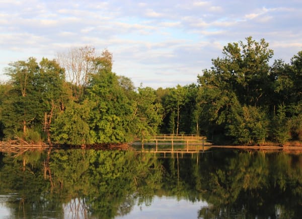 Domaine du Grand Nouer, Château / Domaine, Pierrefitte-sur-sauldre, France
